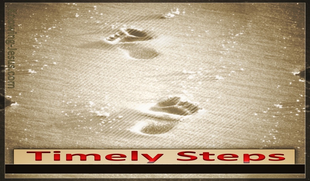 Psalm 37:23 Timely Steps (devotional)03:22 (brown)